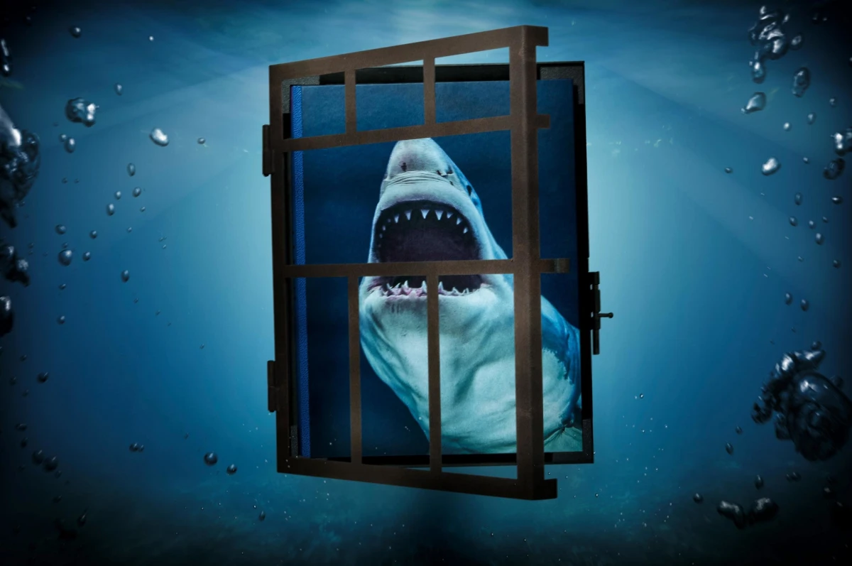 TASCHEN Michael Muller. Sharks zollfrei