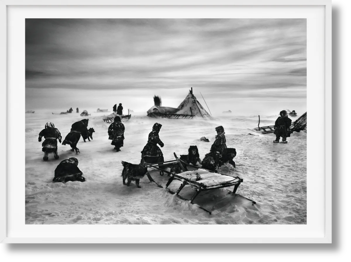 TASCHEN Sebastião Salgado. Genesis. Art Edition No. 101–200 ‘North of the Ob River, Yamal Peninsula, Siberia, Russia’ Verkauf