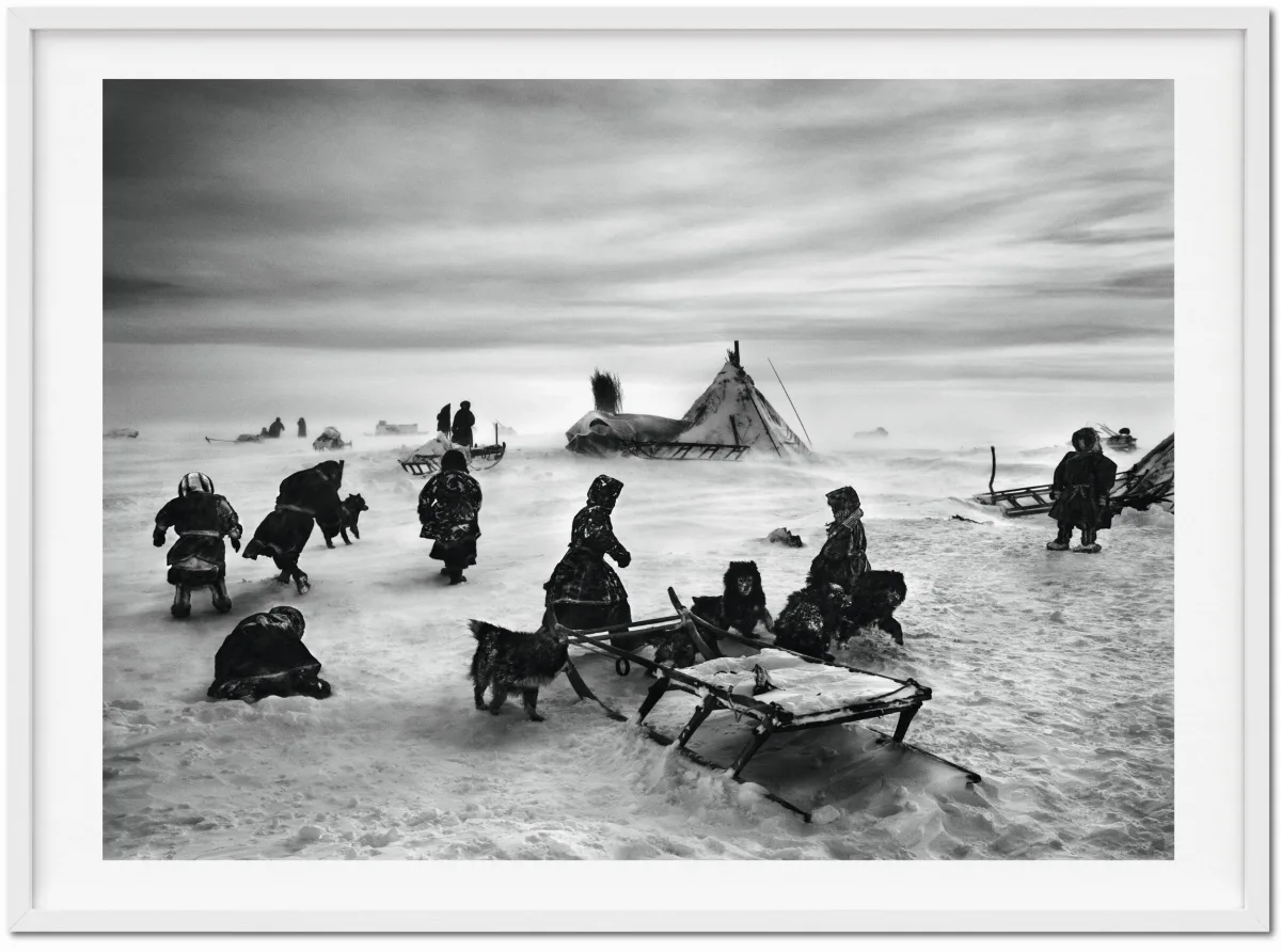 TASCHEN Sebastião Salgado. Genesis. Art Edition No. 101–200 ‘North of the Ob River, Yamal Peninsula, Siberia, Russia’ Verkauf