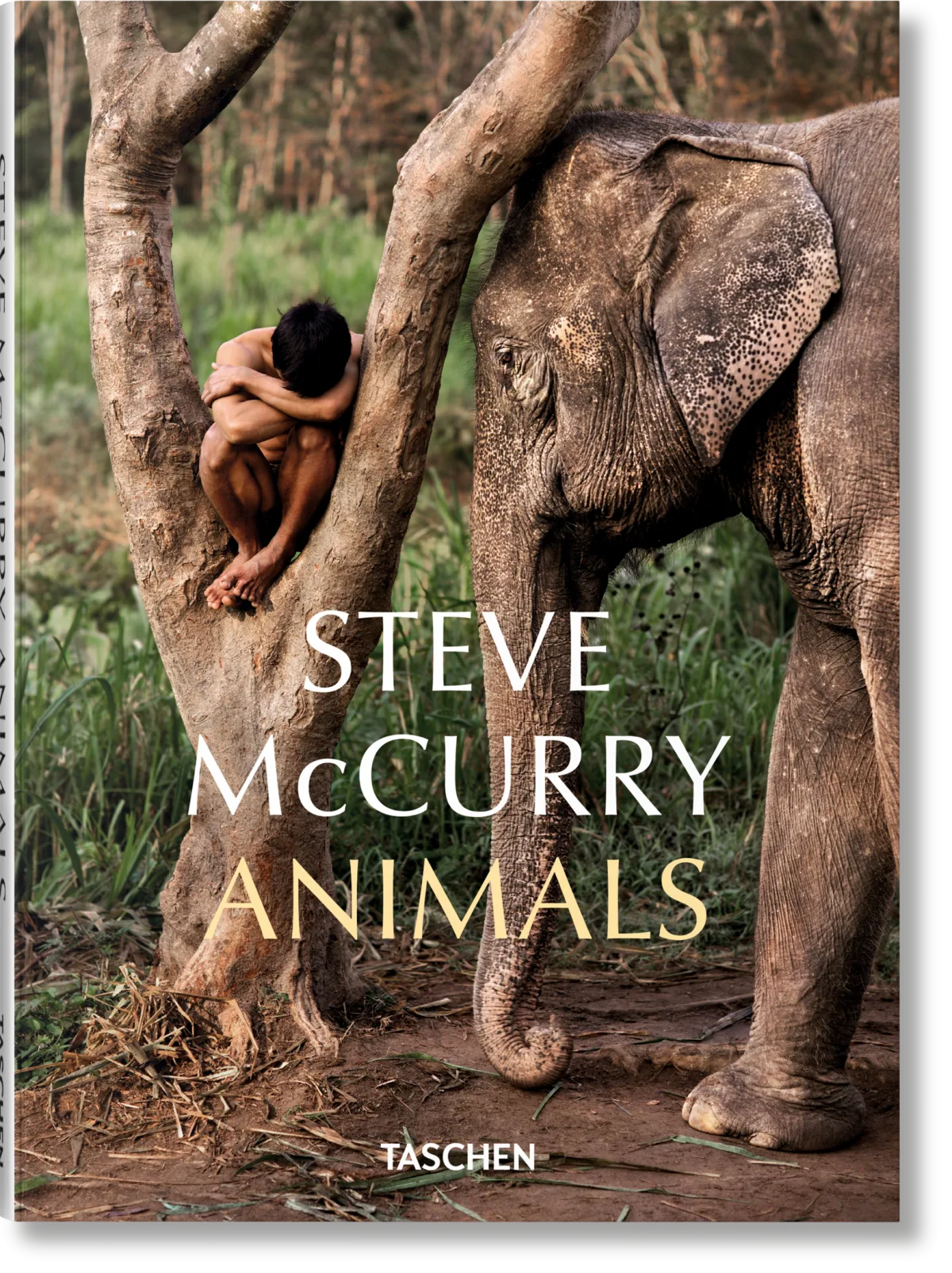TASCHEN Steve McCurry. Animals Muttertagsangebot