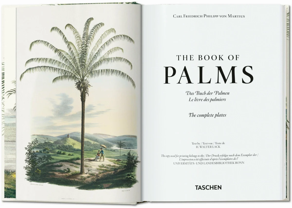 TASCHEN Martius. The Book of Palms. 40th Ed Top Angebot