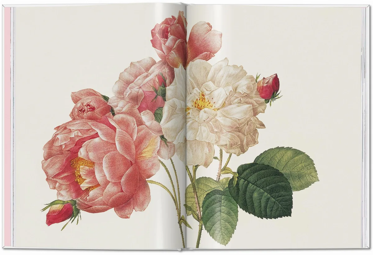 TASCHEN Redouté. Roses Wochenangebot