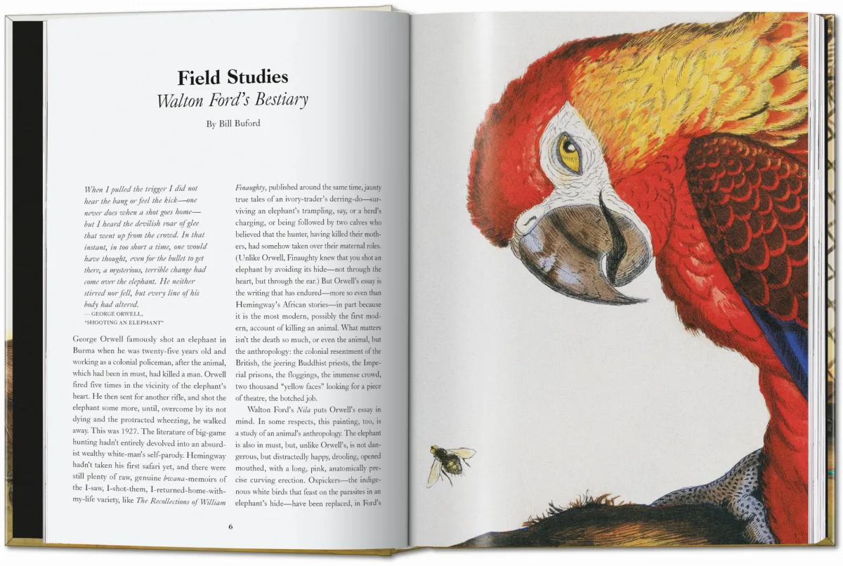TASCHEN Walton Ford. 40th Ed Nur für heute