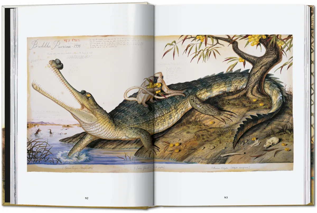 TASCHEN Walton Ford. 40th Ed Nur für heute