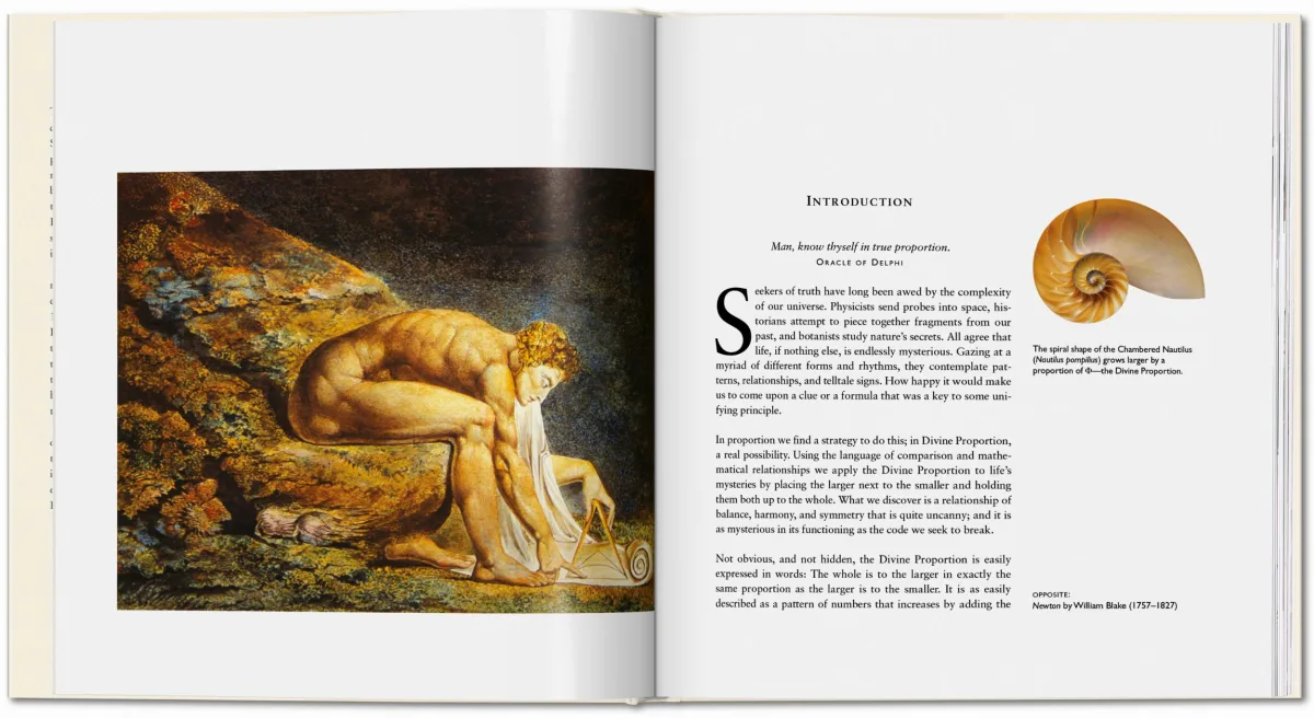 TASCHEN The Secret Code Exklusivangebot