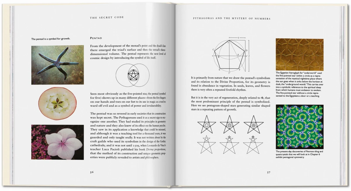 TASCHEN The Secret Code Exklusivangebot