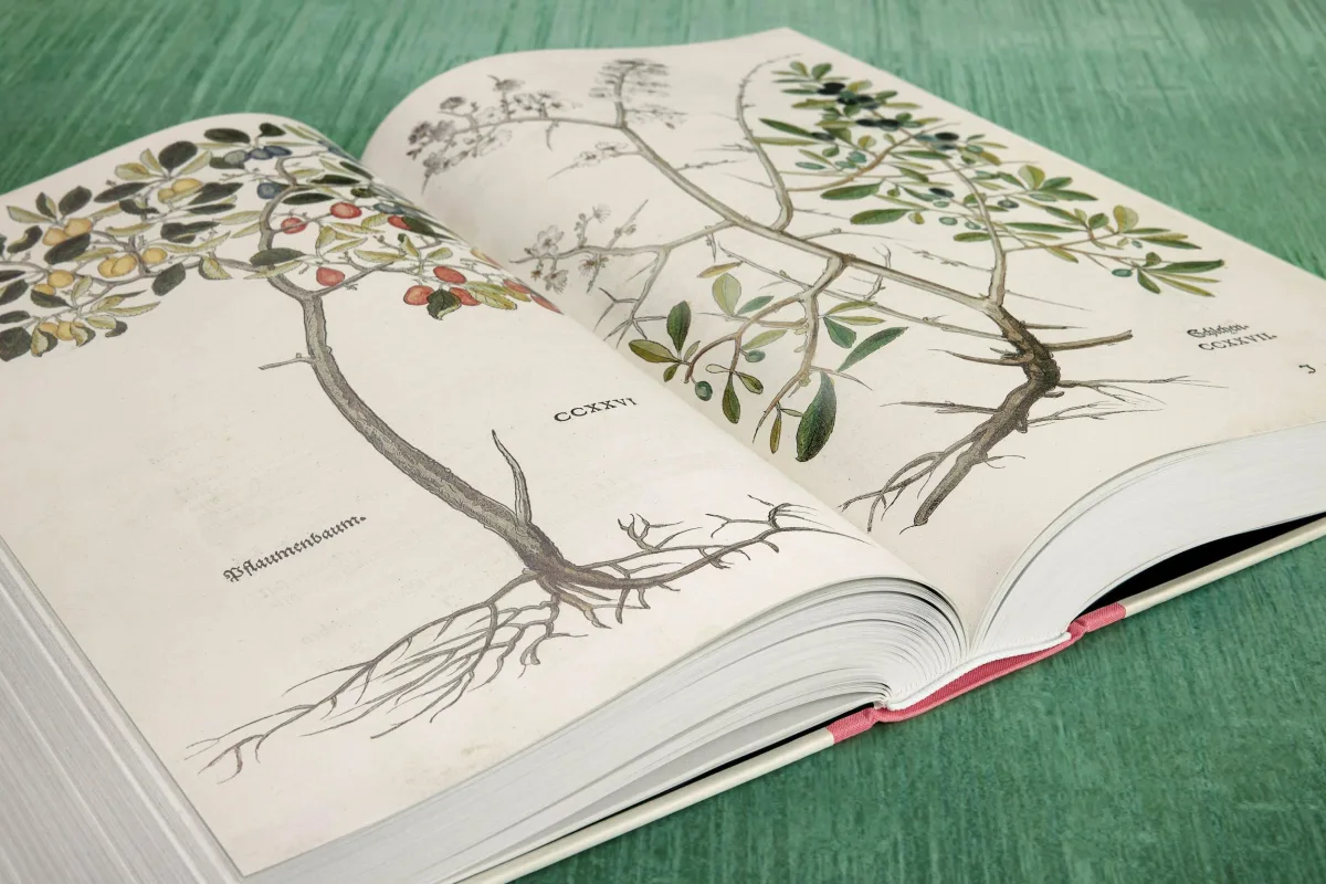 TASCHEN Leonhart Fuchs. The New Herbal Cyber Monday