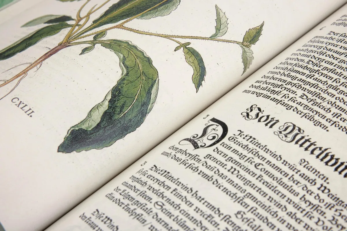 TASCHEN Leonhart Fuchs. The New Herbal Cyber Monday