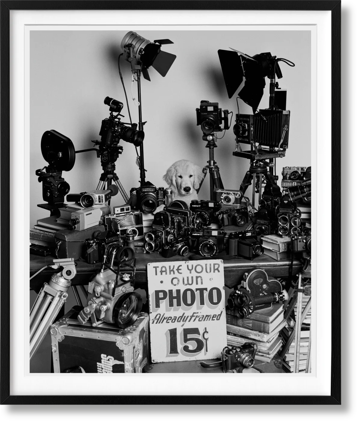 TASCHEN Bruce Weber. The Golden Retriever Photographic Society. Art Edition No. 101–200 ‘Hud, New York City, 2011’
