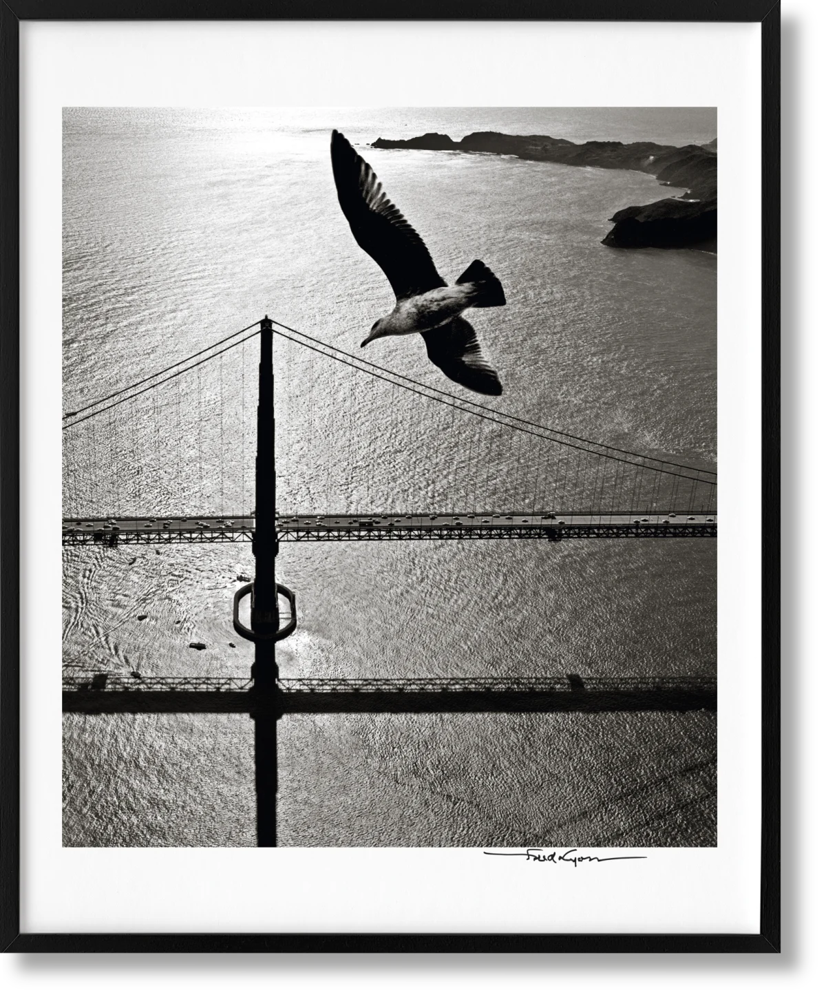 TASCHEN San Francisco. Portrait of a City, Art Edition No. 76–150 'Seagull over Golden Gate Bridge, early 1950s'