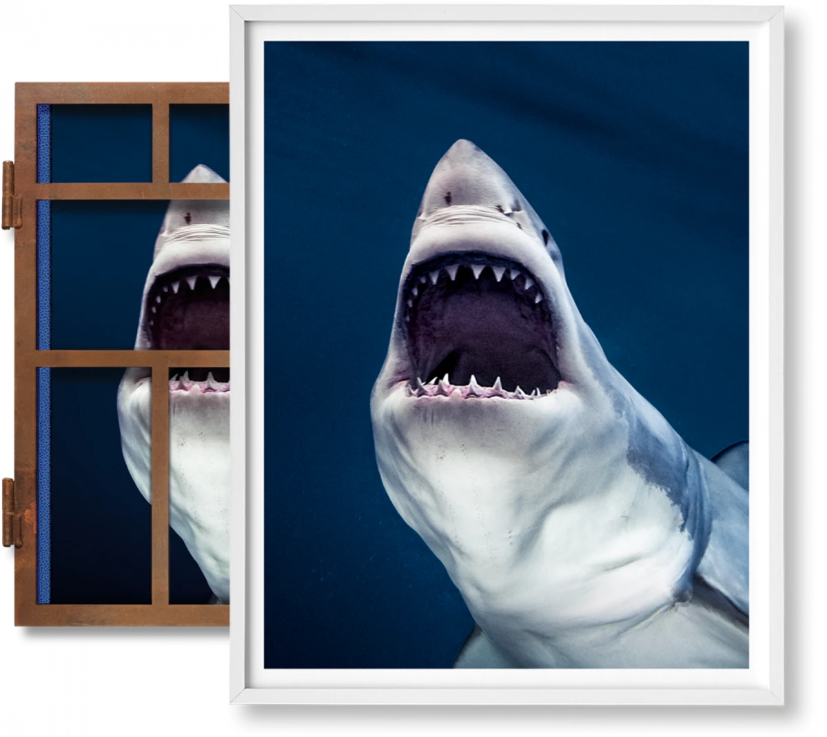 TASCHEN Michael Muller. Sharks, Art Edition No. 1–100 ‘Tear You Apart’ Bis zu 55% Rabatt