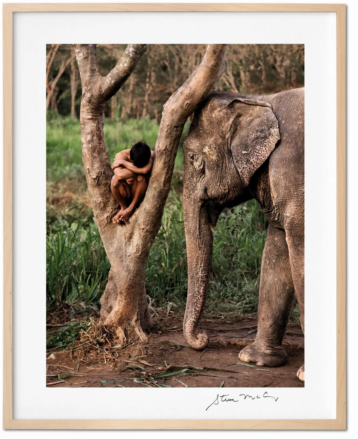 TASCHEN Steve McCurry. Animals. Art Edition No. 1–100 ‘Chiang Mai, Thailand, 2010’