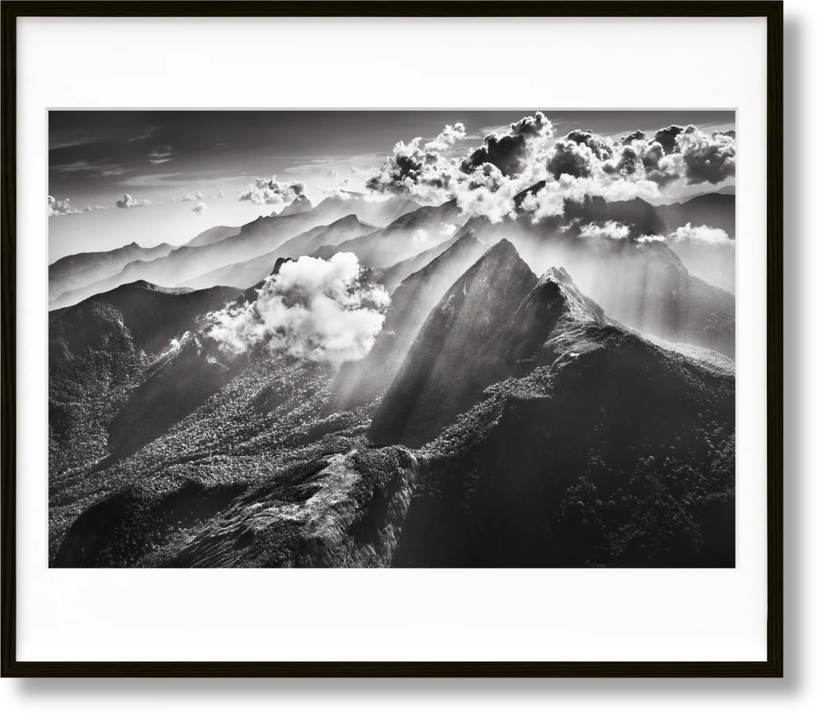 TASCHEN Sebastião Salgado. Amazônia, Art Edition No. 201–300 ‘Marauiá Mountain Range’ Fabrikpreis