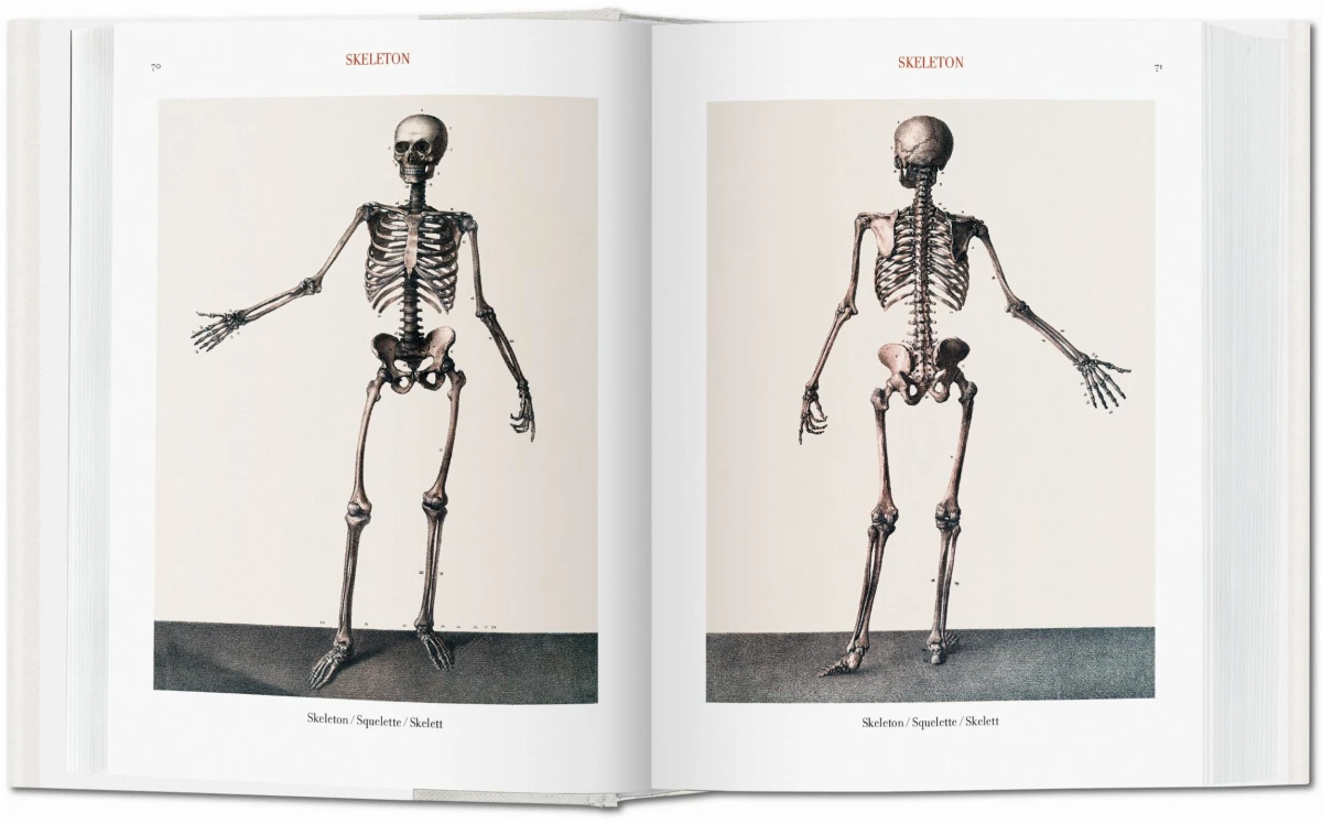 TASCHEN Bourgery. Atlas of Human Anatomy and Surgery Verkauf