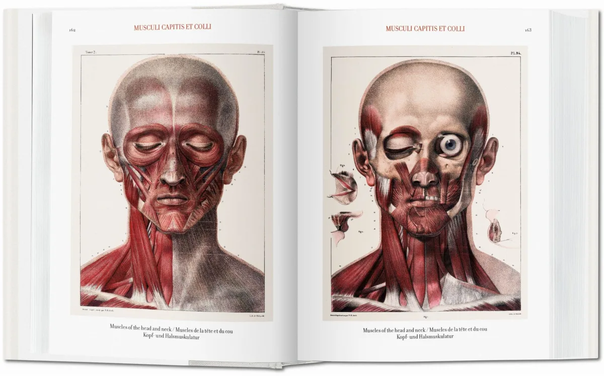 TASCHEN Bourgery. Atlas of Human Anatomy and Surgery Verkauf