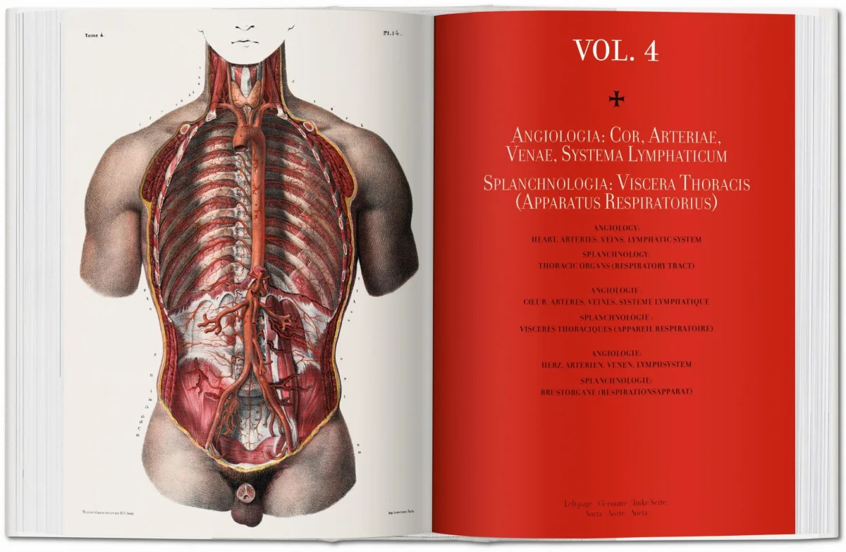 TASCHEN Bourgery. Atlas of Human Anatomy and Surgery Verkauf