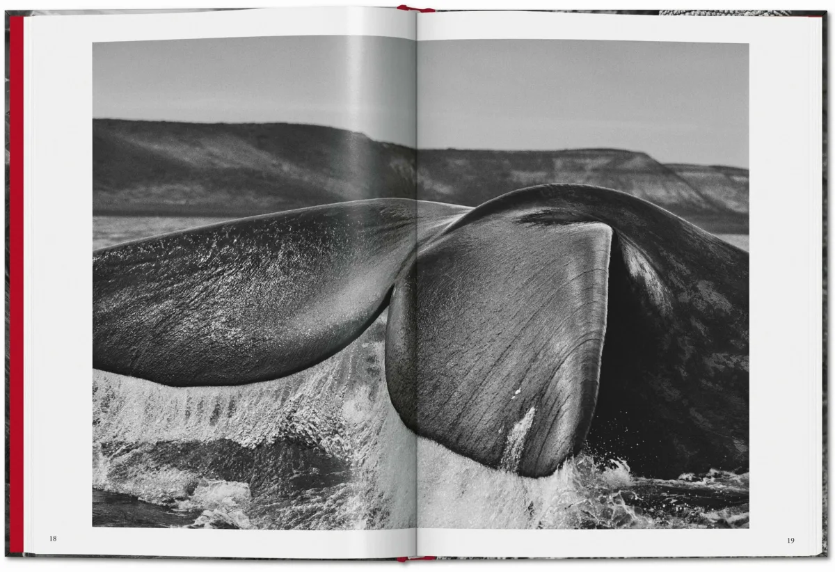 TASCHEN Sebastião Salgado. Genesis Osterangebot