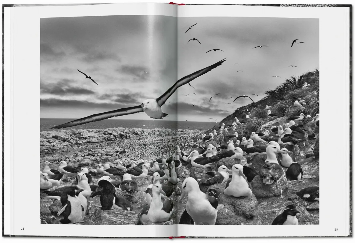 TASCHEN Sebastião Salgado. Genesis Osterangebot