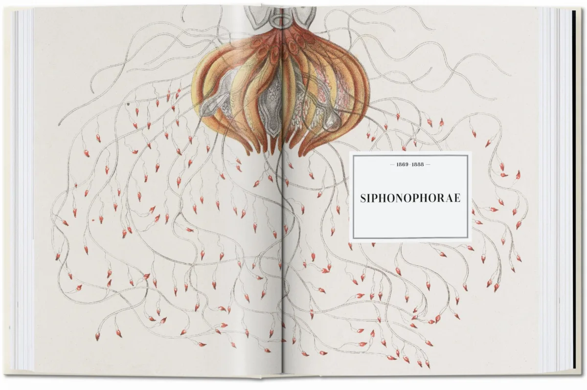 TASCHEN The Art and Science of Ernst Haeckel. 40th Ed Lagerräumung