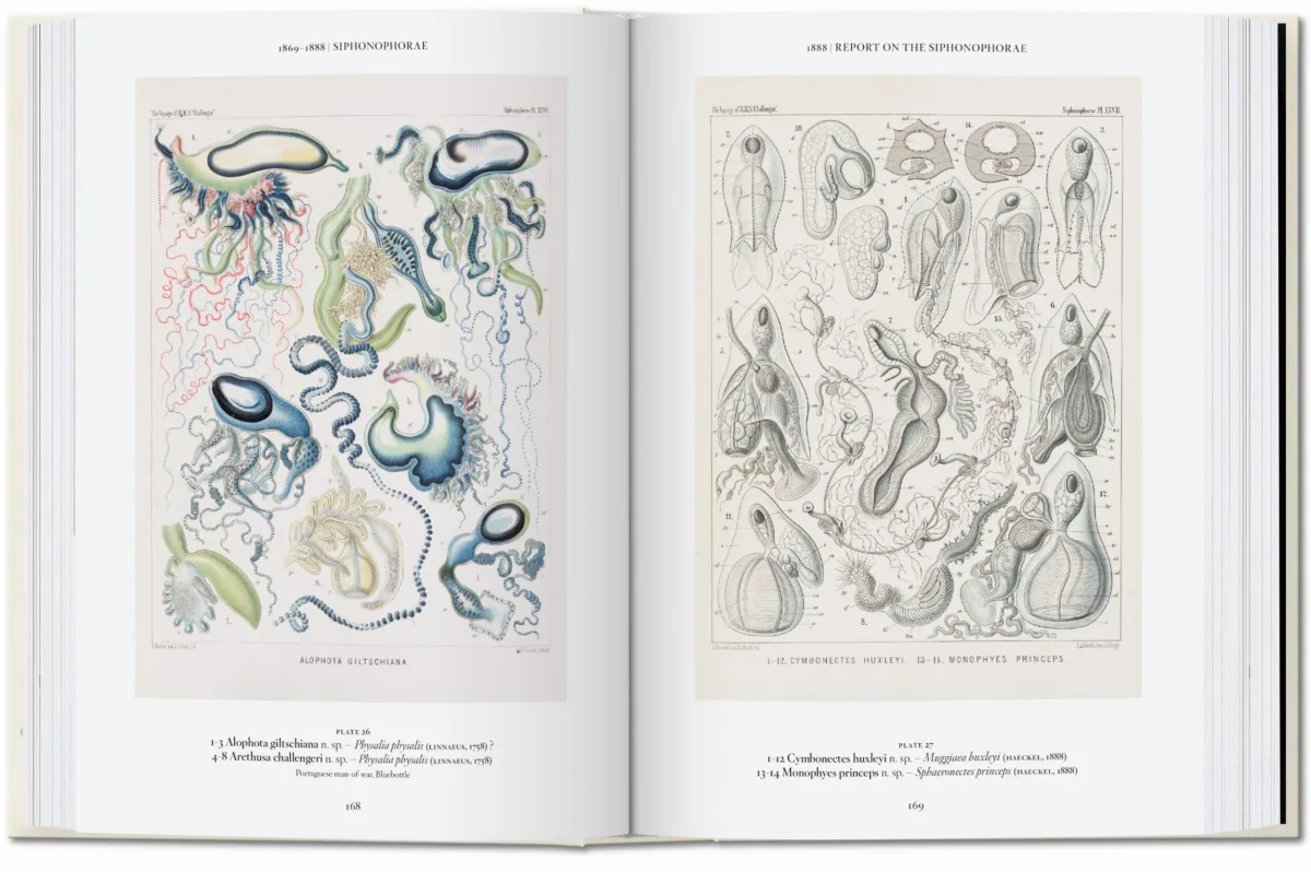 TASCHEN The Art and Science of Ernst Haeckel. 40th Ed Lagerräumung